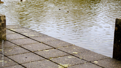 Short concrete posts and submerged steps lead into the calm water of a park lake. The weathered structures stand partially in the lake, creating a geometric contrast with the natural shoreline and ref