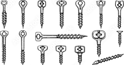 Collection of Various Screw Types: Detailed Hand-Drawn Illustration