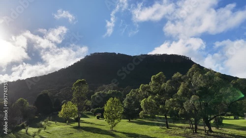 Tilt up from trees to mountain