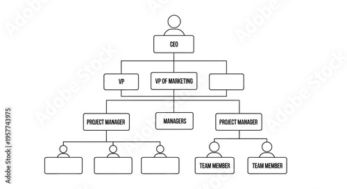 Organizational chart illustrating company hierarchy and reporting structure.