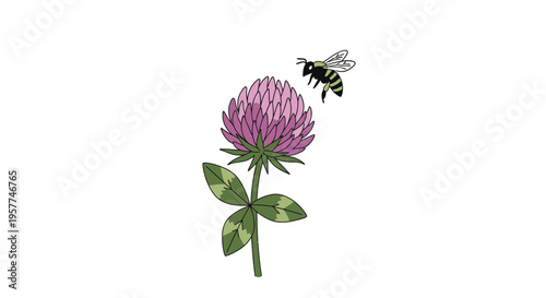 Bee flying near purple flower.