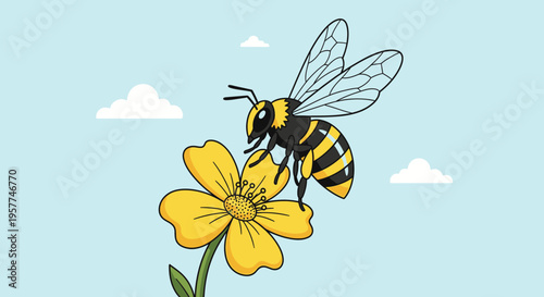 Bee on a Yellow Flower 2.