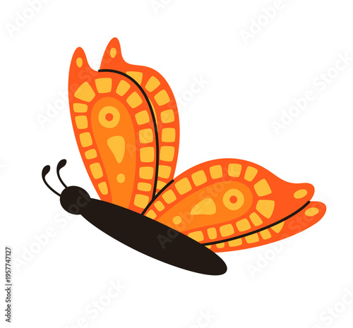 A cute orange butterfly. A spring insect.