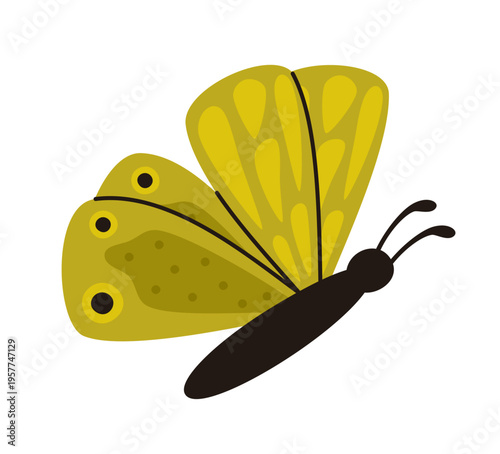 Cute green butterfly. Spring insect.