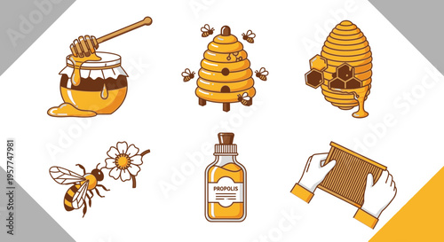 Honey bee hive and honeycomb illustrations.