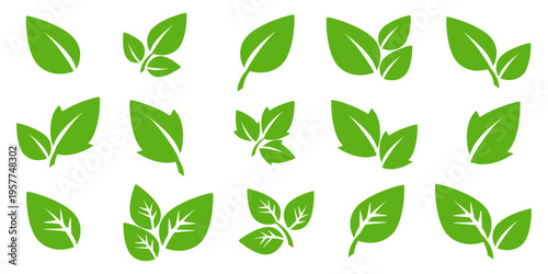 Leaf vector symbol, leaf illustration or leaf emoji in flat style. Spring leaf design, ecological nature theme.	
