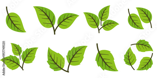 Leaf vector symbol, leaf illustration or leaf emoji in flat style. Spring leaf design, ecological nature theme.	
