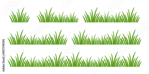 green grass illustration, sustainable grass nature, grass design in flat style	
