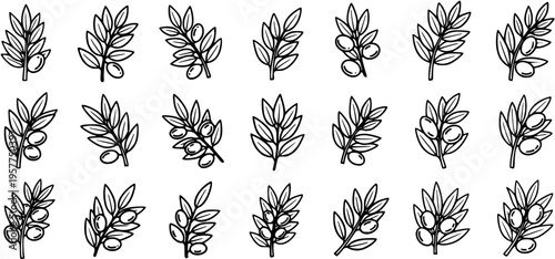 Agriculture and Food Industry Black  White Line Art Olive Branches and Olives Icons Collection