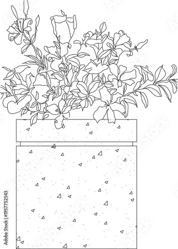 Technical landscape elevation drawing showing rectangular planter box with flowering plants, roses and foliage cascading over the edges with concrete texture.