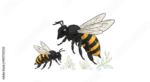 Two cartoon bees illustration on a white background. Vector concept for pollination, nature, and environmental protection.