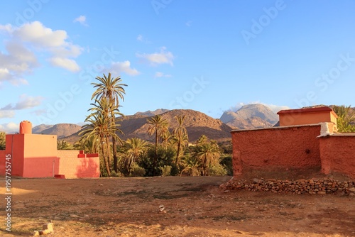 Ameln Oasis - Tafraout, Morocco