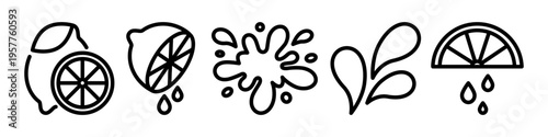 Citrus icon set with lemon wedges, halves and juice drops. Outline pictograms with splash elements and editable stroke. Fresh fruit and beverage concept. 