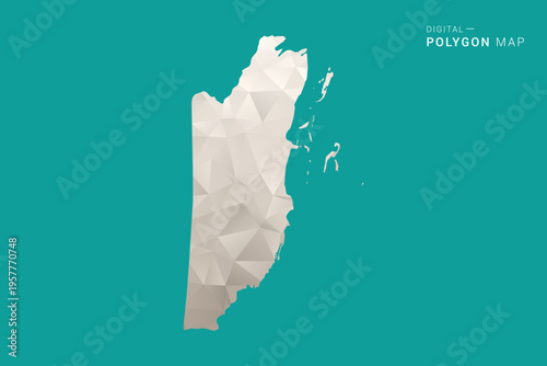 Belize Map - Green and Gray Polygon Vector Illustration, Low Poly Geometric Design with Clean Minimal Style on Solid Background for Infographic Use.