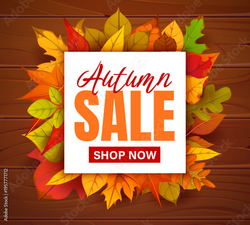 Autumn season sale banner with foliage leaves. Autumn deal offer vector card, thanksgiving bargain sale banner. Seasonal discount flyer with forest orange and yellow leaves, wooden plank background