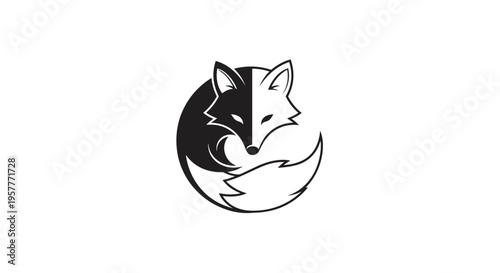 Black and white fox curled up.