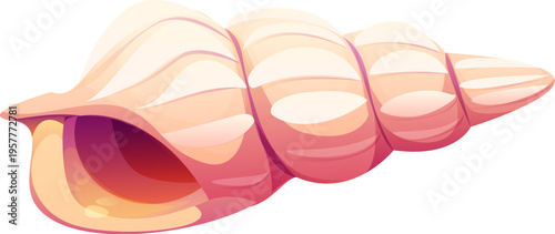 Ocean coral reef gastropod cartoon seashell or mussel. Coral reef isolated aquatic mussel, tropical sea fauna conch. Underwater mollusk seashell