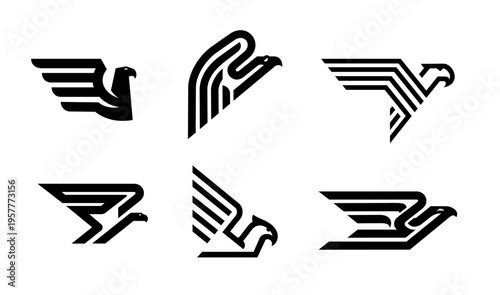 Black eagle hawk and falcon bird icons, fast delivery and speed race sport symbols set. Vector silhouettes of abstract eagle birds, wings and heads side views for delivery and logistics isolated icons