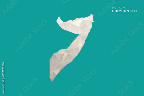 Somalia Map - Green and Gray Polygon Vector Illustration, Low Poly Geometric Design with Clean Minimal Style on Solid Background for Infographic Use.