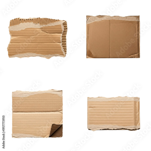 Four torn cardboard pieces on transparent background