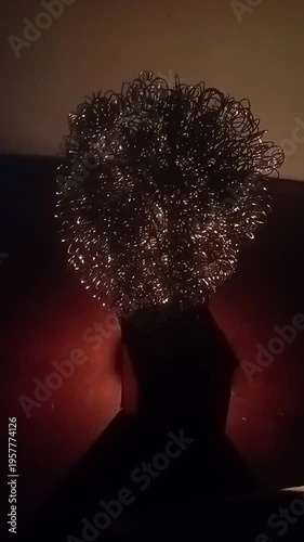 fireworks in the night