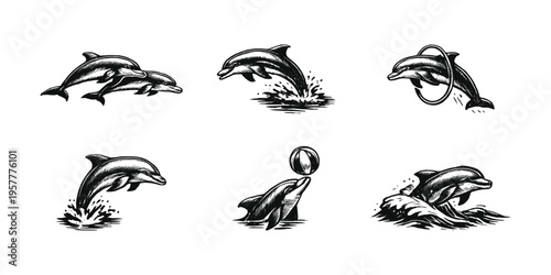 Collection of six playful dolphin illustrations in a vintage sketch style