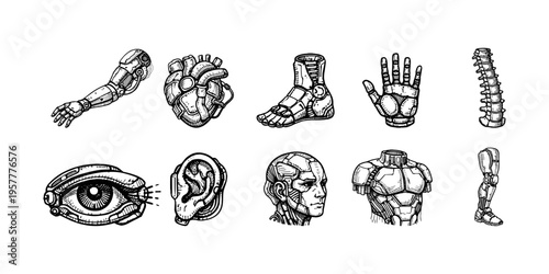 Collection of hand-drawn cyborg body parts and organs in a sketch style