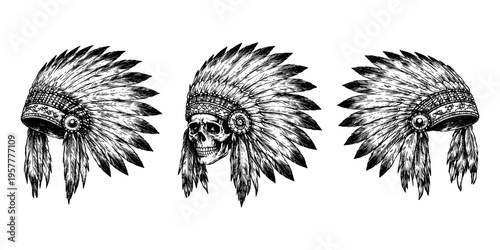 Tribal skull headdress with feathers, a striking black and white illustration