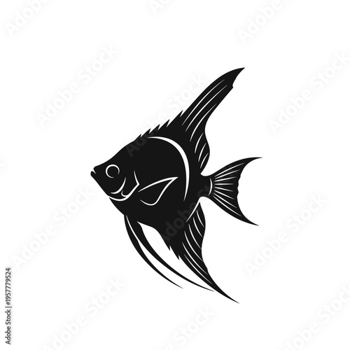 Black and white angelfish illustration.