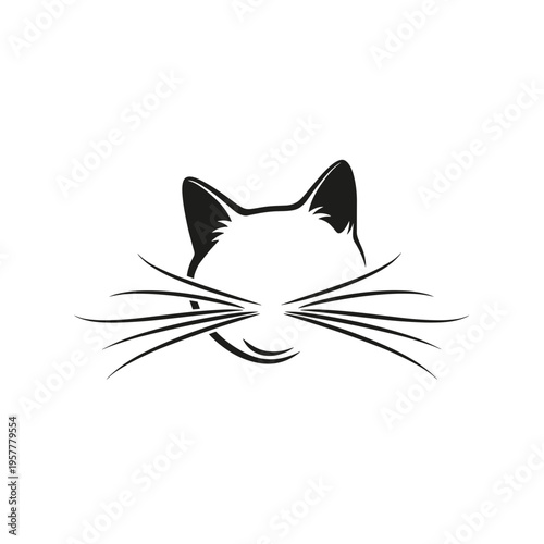 Black and white cat face closeup.