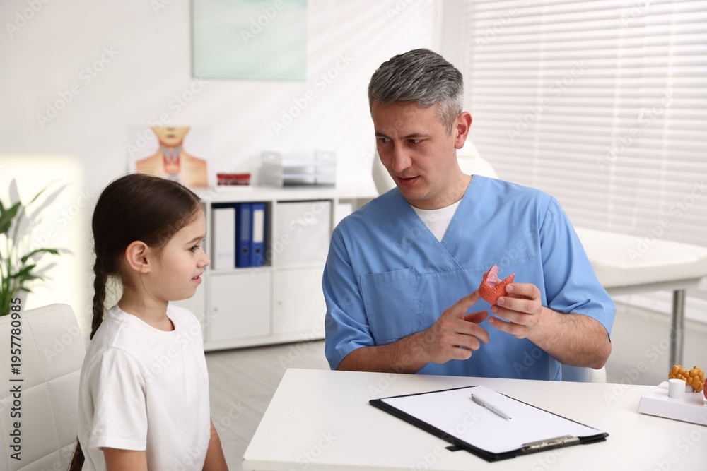 Obraz premium Endocrinologist showing model of thyroid gland to his little patient at white desk in clinic