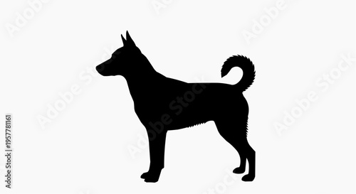 A black silhouette of a dog standing