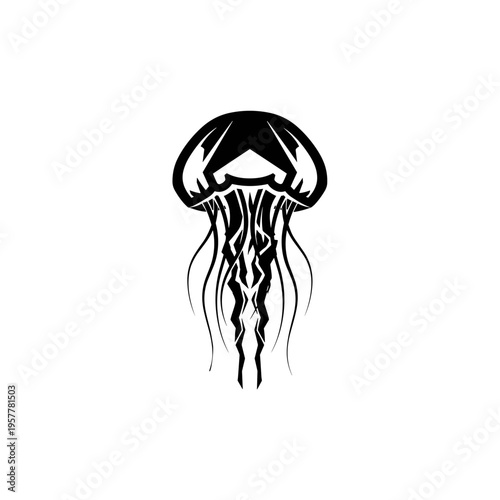 Black and white jellyfish illustration art.
