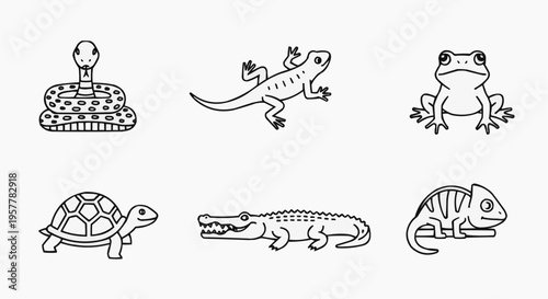 Set of six reptile and amphibian illustrations in simple outlines