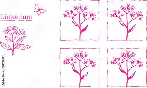 Pink Limonium Flora: Elegant botanical illustration in monochromatic style, featuring delicate Limonium flowers in a variety of poses. Enhanced with a graceful butterfly, the artwork radiates a soft.