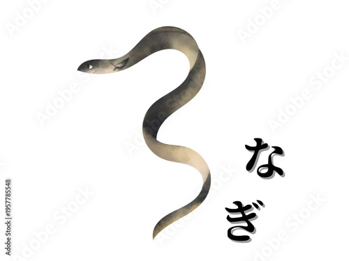 土用の丑の日　ゆるり、うなぎ日和