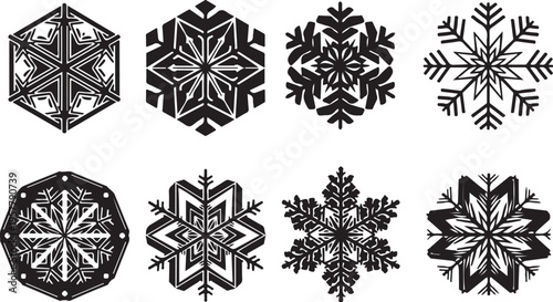 Collection of unique snowflakes in black and white designs