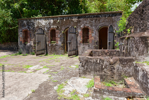 Schilderij op canvas Ruins of the Colonial Health Center of Saint-Pierre, the first psychiatric asy