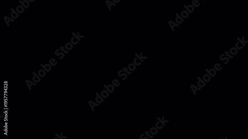 Bright Film Burn Light Leak Overlay Transition With Alpha Channel for Video Effects