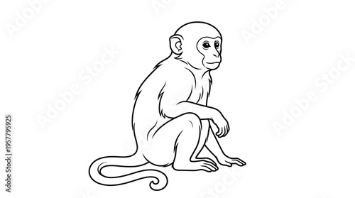 Monkey sitting on ground looking ahead.