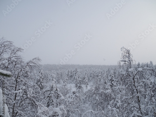 Fotografie Snowy Forest in Finnish Lapland Saariselka Misty Winter Nature Scene