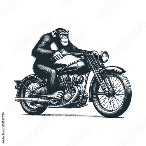 chimpanzee riding a classic motorbike