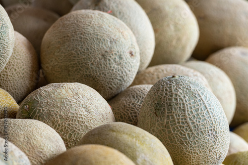 Foto Melons in bulk supply of sweet, large, round tropical fruit