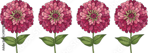 Row of four identical pink flowers with layered petals, green stems and leaves, yellow centers, botanical floral illustration for decoration, education, pattern recognition, and design projects.