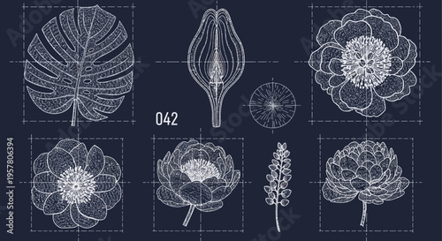 Botanical illustration set of diverse plant elements on blueprint background