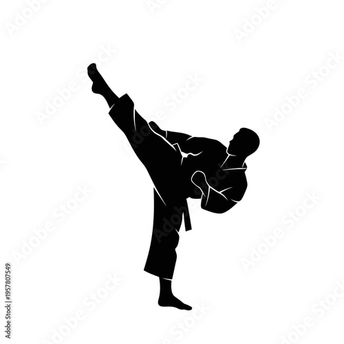 Martial arts silhouette of a person kicking.