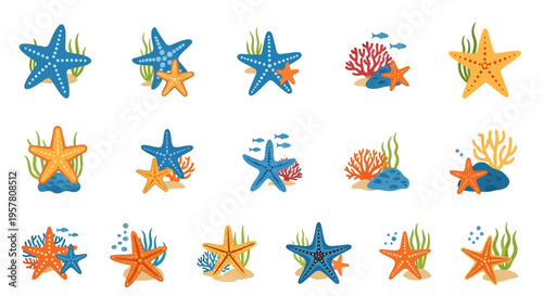 Collection of starfish and sea creatures.