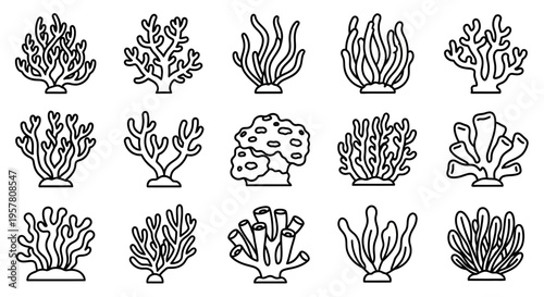 Coral Reef Marine Life Illustrations Set.