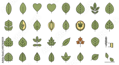 Collection of various green leaf shapes.