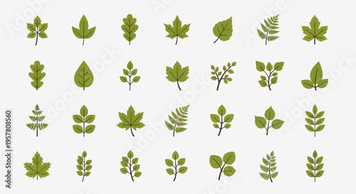 Collection of various green leaf shapes.